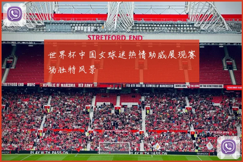 世界杯中国女球迷热情助威展现赛场独特风景