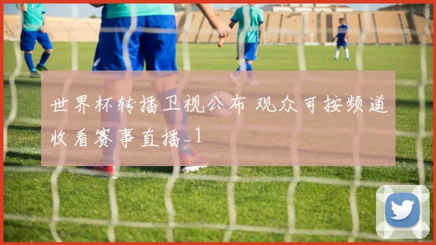 世界杯转播卫视公布 观众可按频道收看赛事直播_1