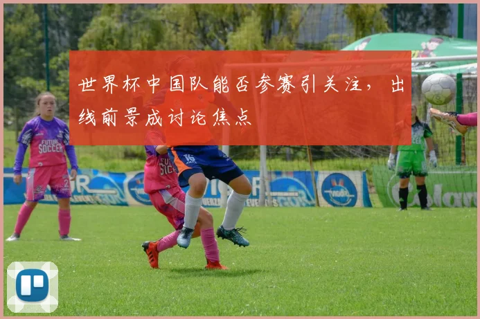 世界杯中国队能否参赛引关注，出线前景成讨论焦点