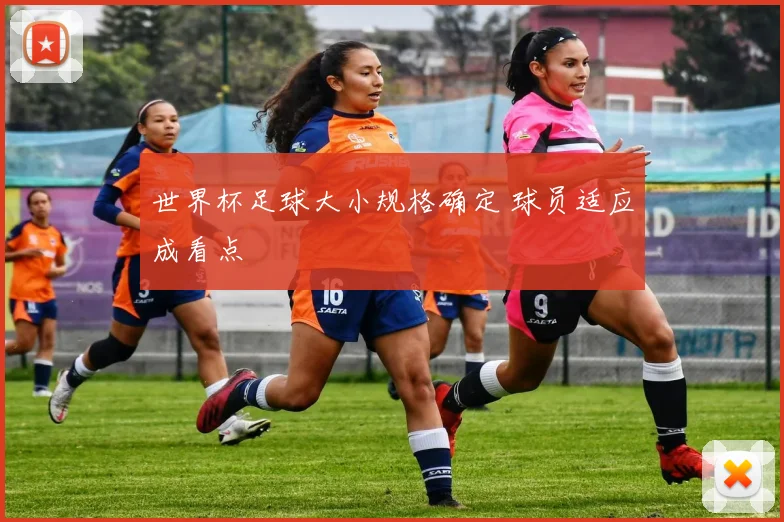 世界杯足球大小规格确定 球员适应成看点