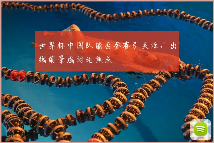 世界杯中国队能否参赛引关注，出线前景成讨论焦点